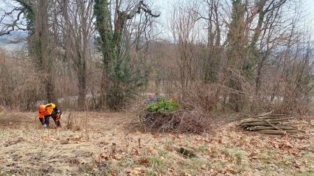 Jelsingrad ciscenje 2